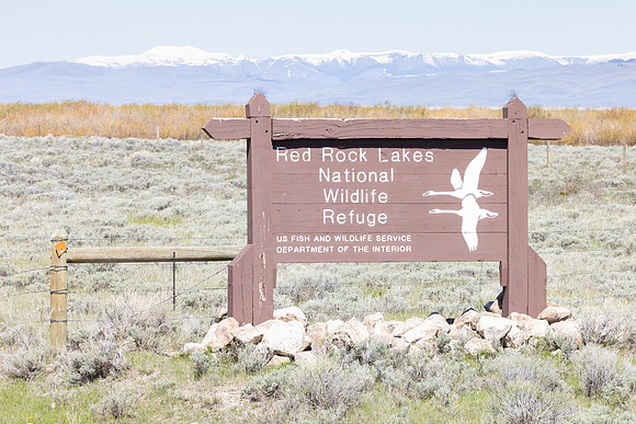 Red Rock Lakes NWR Sign