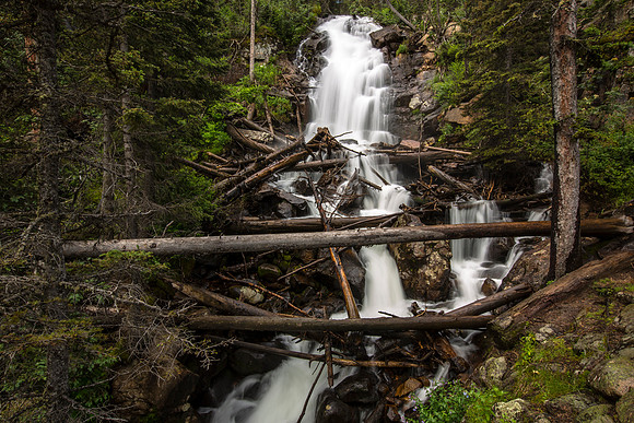Fern Falls Landscape