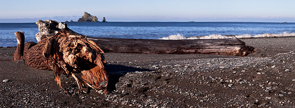 Driftwood