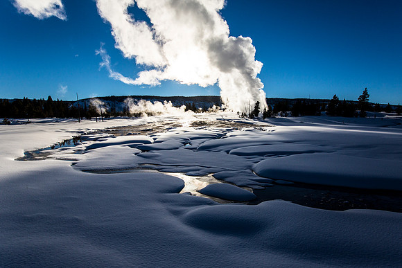 Daisy Geyser Eruption