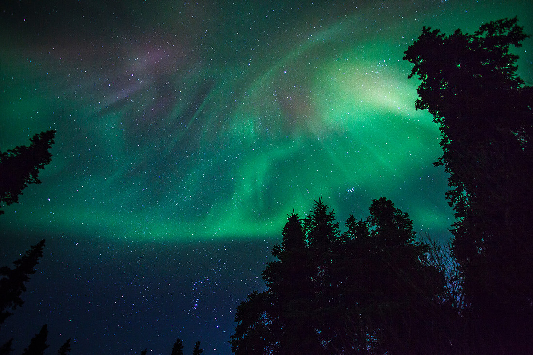 Aurora Starburst (2)