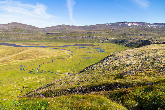 Marshy area near Hornvik