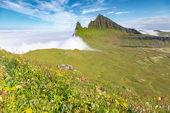 Wildflower and Hornbjarg as clouds roll over the cliff