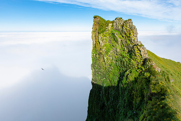 A cliff of green rises above an ocean of clouds