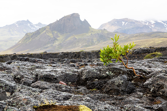 Views along the trail to Þórsmörk from Emstrur (13)