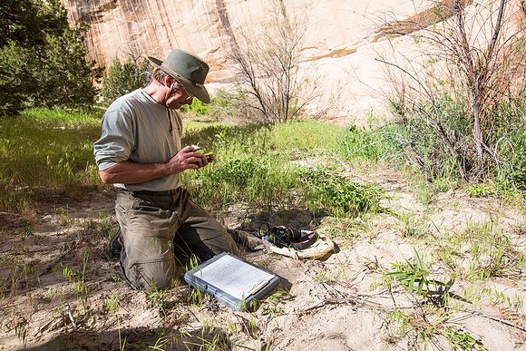 Peter Williams Recording Tamarisk Beetle Data