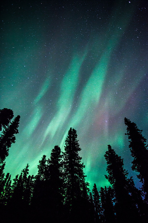 Aurora Streaks