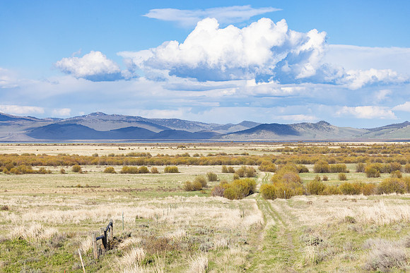 View from the Sparrow Pond Trailhead