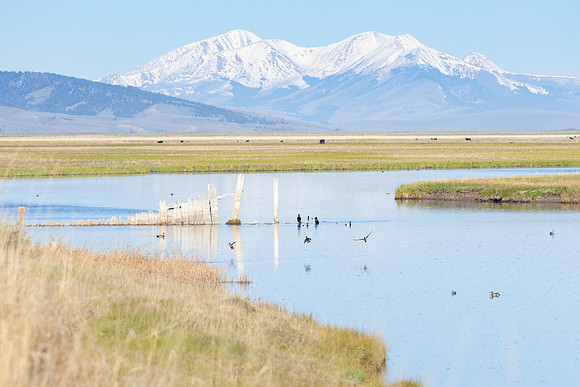 Mountain view from Red Rock Creek dam