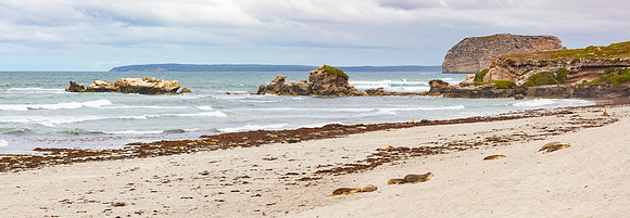 Seal Beach, Kangaroo Island panorama