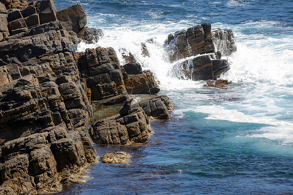 New Zealand fur seal on the rocks in Flinders Chase National Park