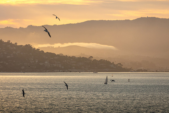 Alcatraz Island 15