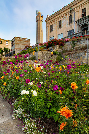 Alcatraz Island 7