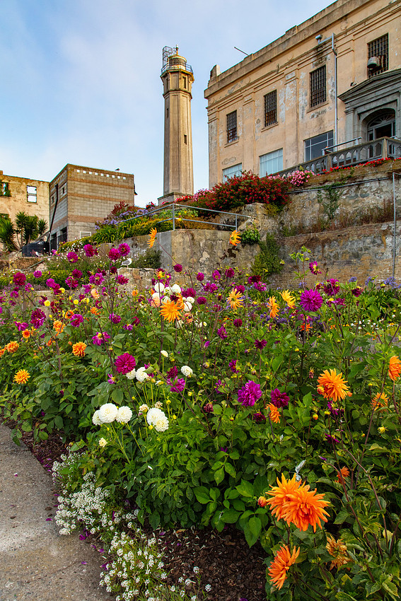 Alcatraz Island 7