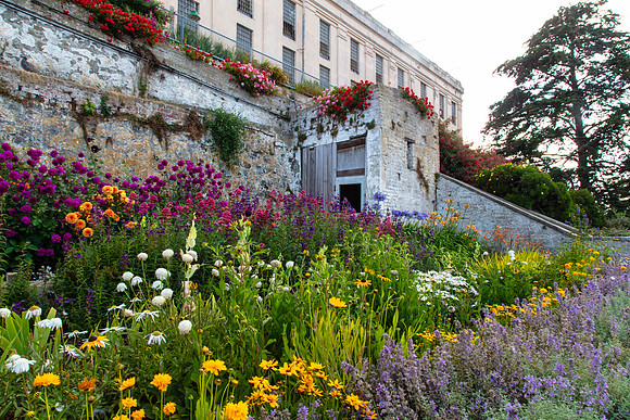 Alcatraz Island 9