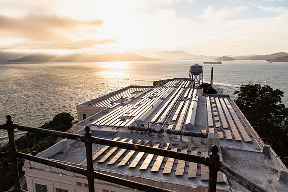 Alcatraz Island 10