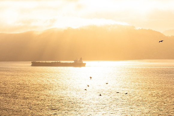 Alcatraz Island 11