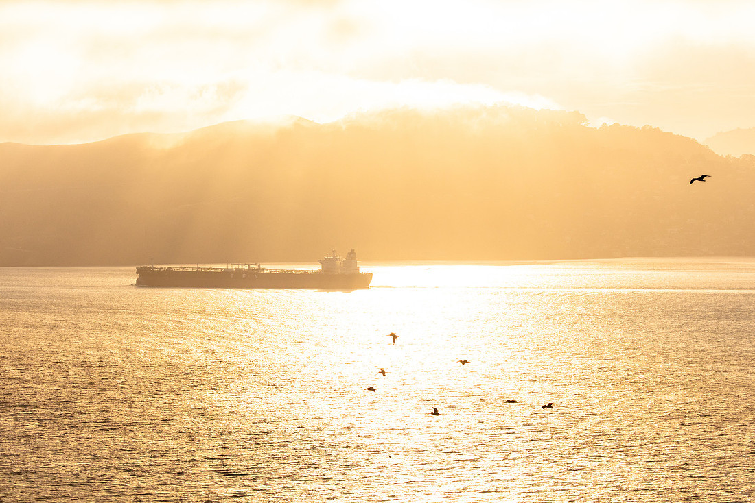 Alcatraz Island 11