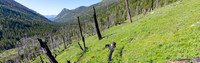 Coyote Creek Blog Banner