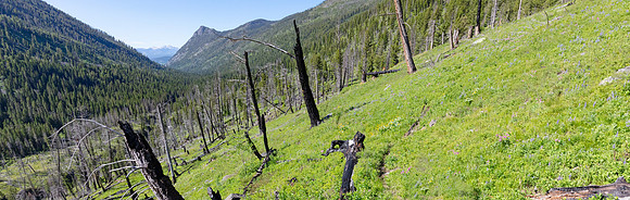 Coyote Creek Blog Banner