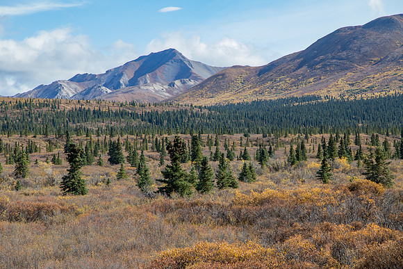 20170902-Denali-024