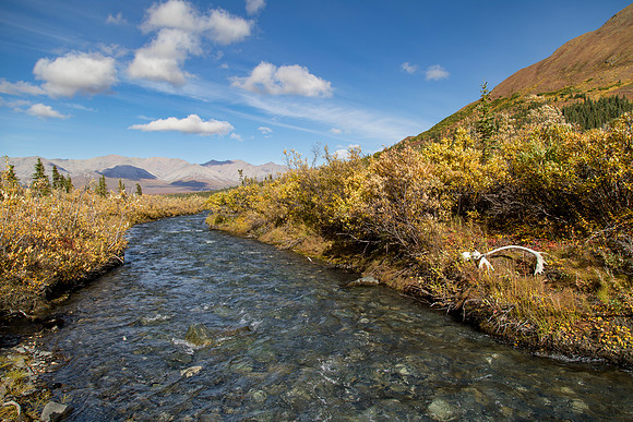 20170902-Denali-026
