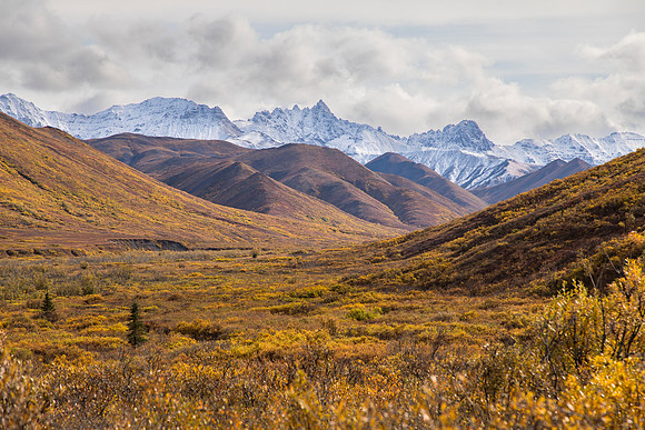 20170902-Denali-042