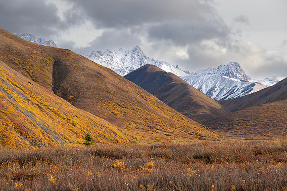 20170902-Denali-079