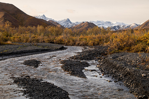 20170903-Denali-126