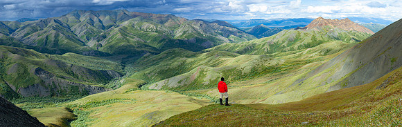 Tattler Creek Blog Banner