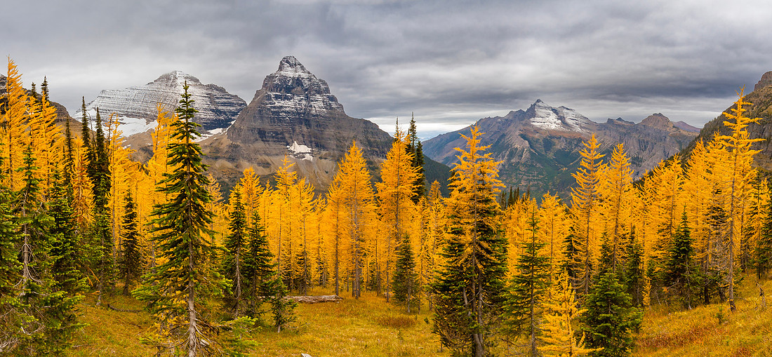 IMG_0226-Pano