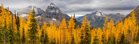Boulder Pass Blog Banner