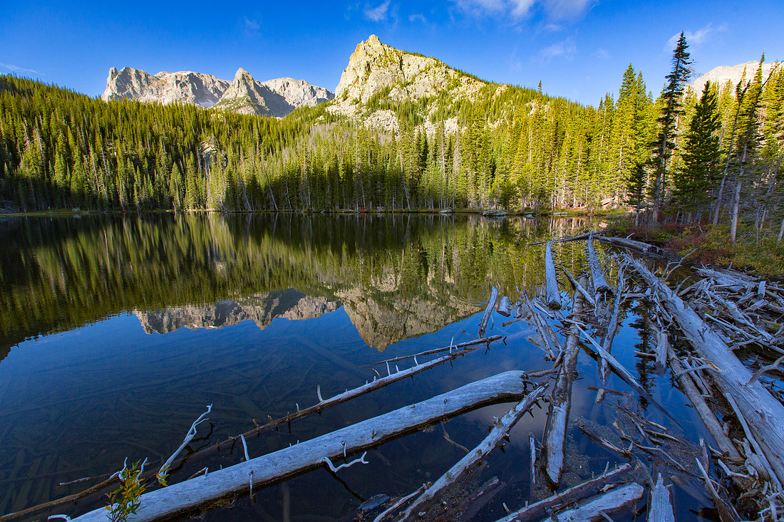 Debris in Fern Lake