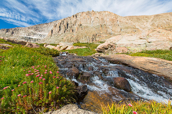 Wildflowers, cascades, and Chiefshead