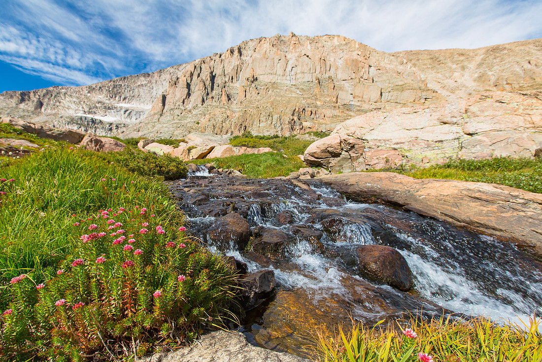 Wildflowers, cascades, and Chiefshead