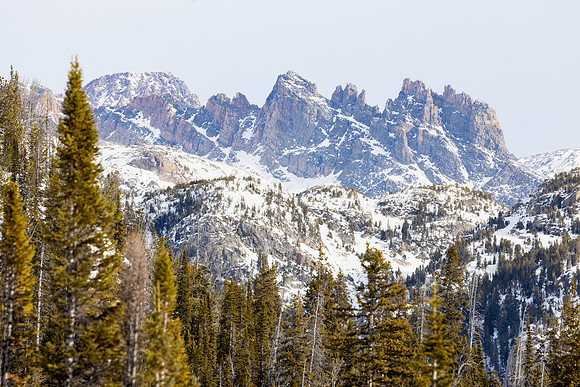 20240202-jwf-0889