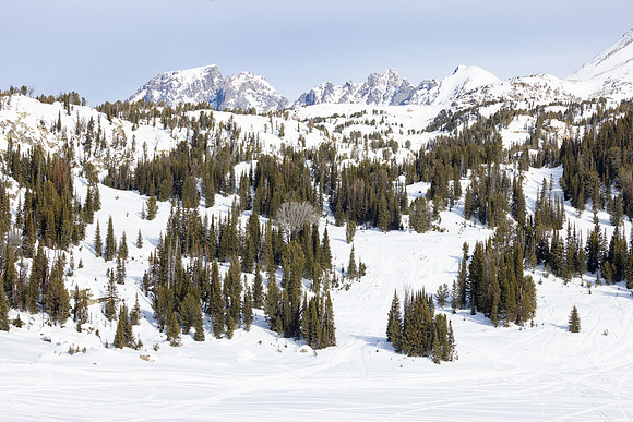 20240202-jwf-0943