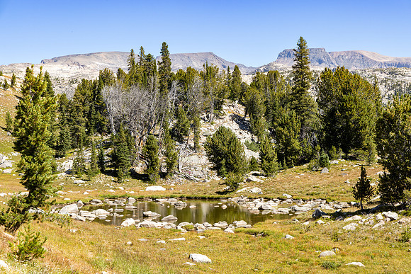 CGNF, AB Wilderness: Lake Elaine to Farley Lake (2)