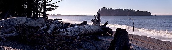 Fallen Giants