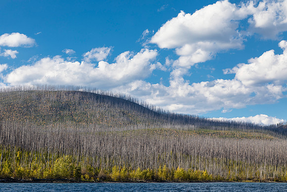 Howe Ridge From Lake McDonald