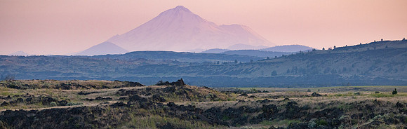 blog banner LABE