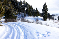 20240301-jwf-1907