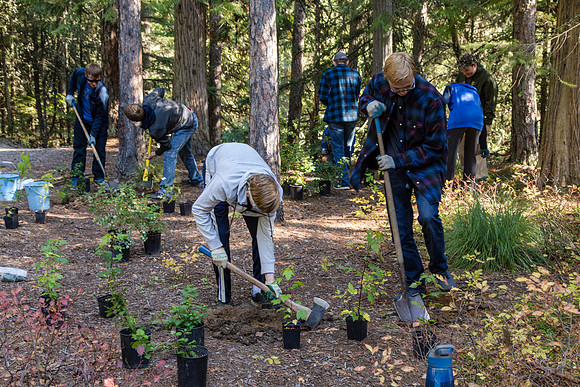 Fish Creek Planting and Monitoring Project 2016 (6)