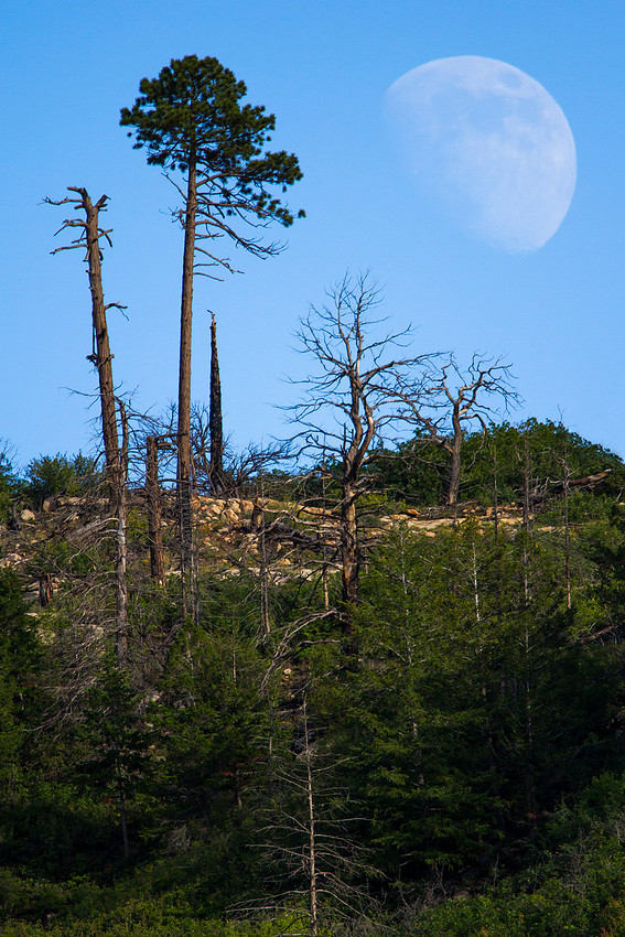 Moonrise in Mesa Verde