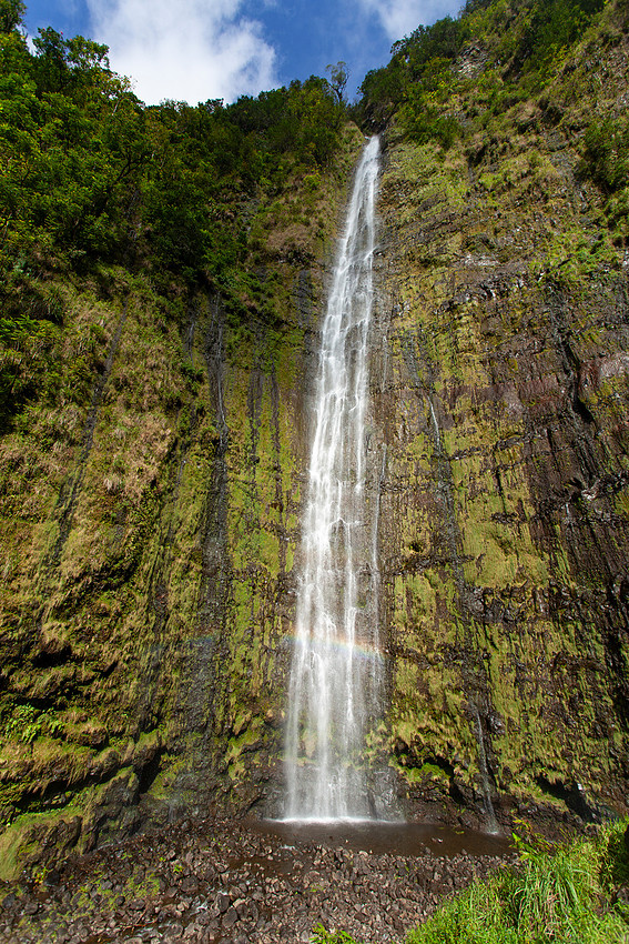 Waimoku Falls Portrait