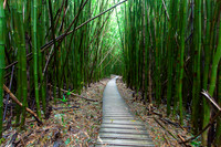 Kipahulu Boardwalk