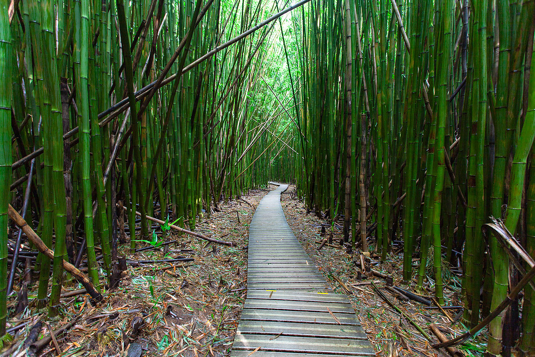 Kipahulu Boardwalk
