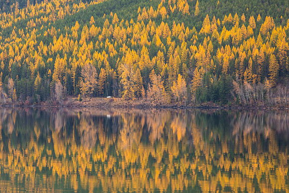 Fall Drive Along Lake McDonald 10.21.16