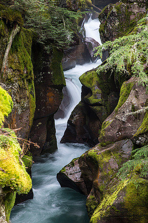 Avalanche Gorge Portrait
