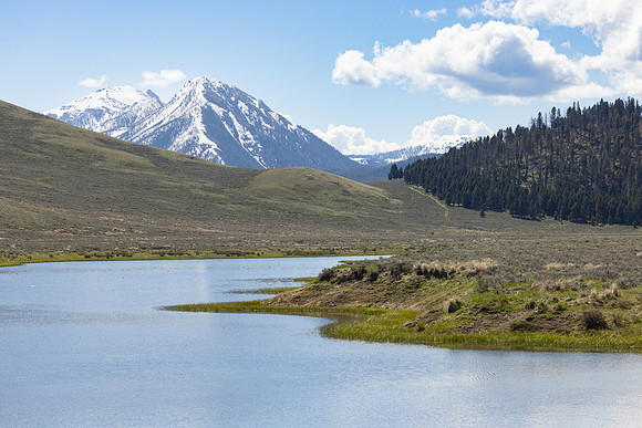 Culver Pond and Mt. Jefferson